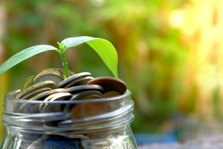 Você conhece os diferentes títulos de renda fixa e como eles podem potencializar os ganhos na gestão de investimentos?