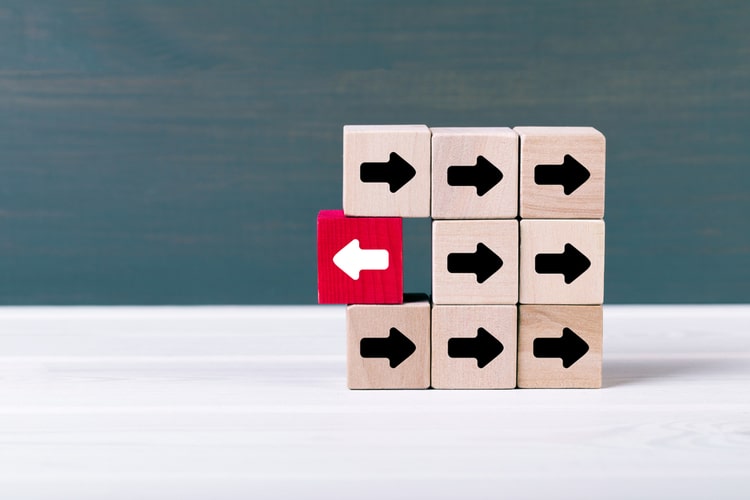 Mindset de mudança: como podemos receber e realizar as mudanças necessárias em nossas vidas com adaptabilidade, flexibilidade e segurança