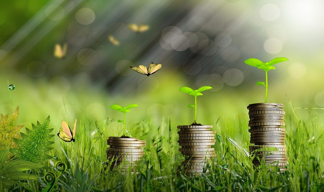 Como finanças, varejo e carreiras mudam com a economia verde